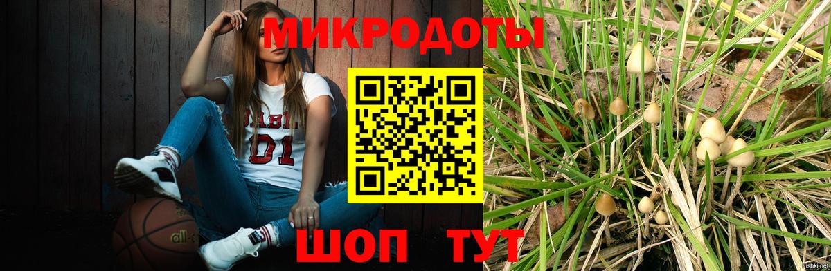 Галлюциногенные грибы прущие грибы Алексеевка
