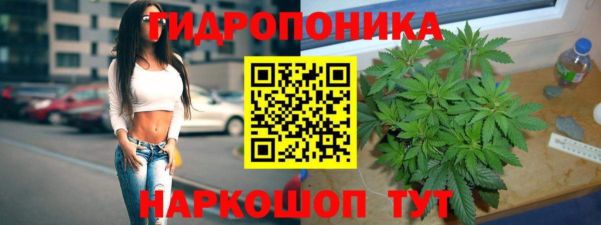Алексеевка  Каннабис OG Kush  Канабис тримм  Бошки марихуана тримм  Бошки марихуана VHQ  Вход с VPN 